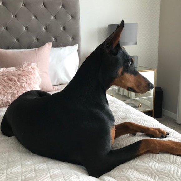 ❤️ for Shopgirl1912 - Picture 2 of 9